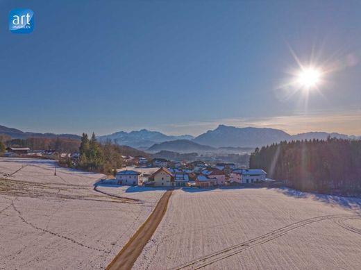 Grundstück in Hallwang, Politischer Bezirk Salzburg-Umgebung