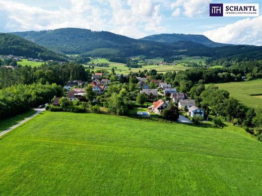 Terreno a Zienitzen, Politischer Bezirk Sankt Veit an der Glan