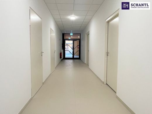 Office in Feldbach, Politischer Bezirk Südoststeiermark