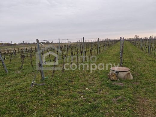 Land in Illmitz, Politischer Bezirk Neusiedl am See