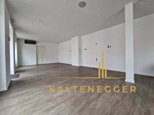 Office in Neunkirchen, Politischer Bezirk Neunkirchen
