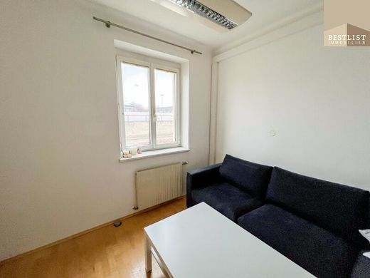 Ofis Baden, Politischer Bezirk Baden