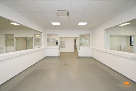 Office in Günselsdorf, Politischer Bezirk Baden