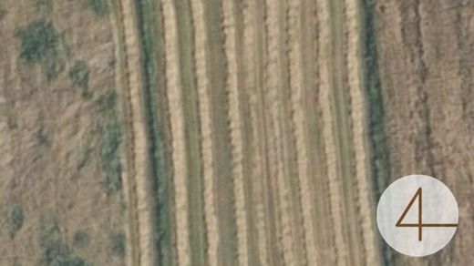 Fattoria a Waidhofen an der Thaya, Politischer Bezirk Waidhofen an der Thaya