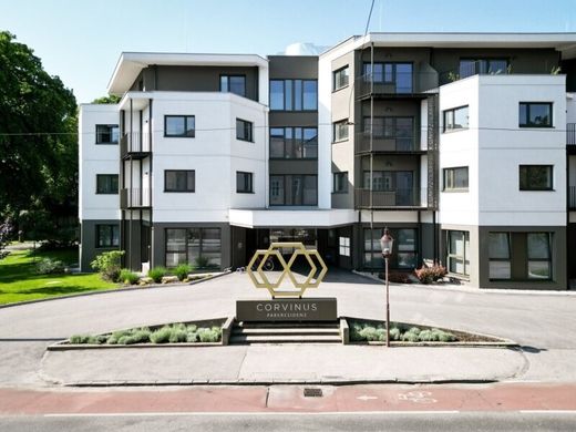 Apartament w Wiener Neustadt, Wiener Neustadt Stadt