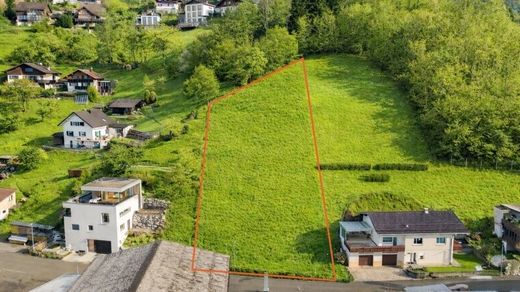 Land in Dornbirn, Politischer Bezirk Dornbirn