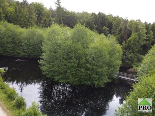 Boerderij in Haugschlag, Politischer Bezirk Gmünd