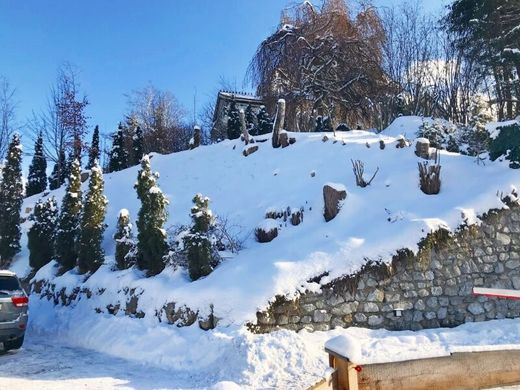 Teren w Kitzbühel, Politischer Bezirk Kitzbühel