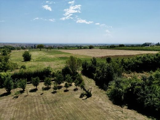 Winden am See, Politischer Bezirk Neusiedl am Seeの高級住宅