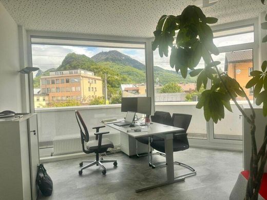 ザルツブルク, Salzburg Stadtのオフィス