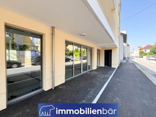 Office in Grieskirchen, Politischer Bezirk Grieskirchen