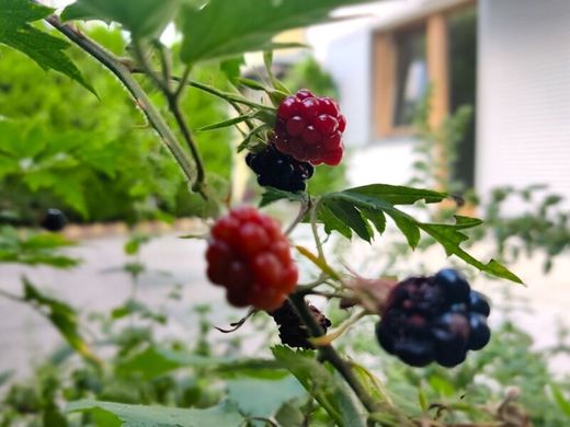 ‏דירה ב  אינסברוק, Innsbruck Stadt