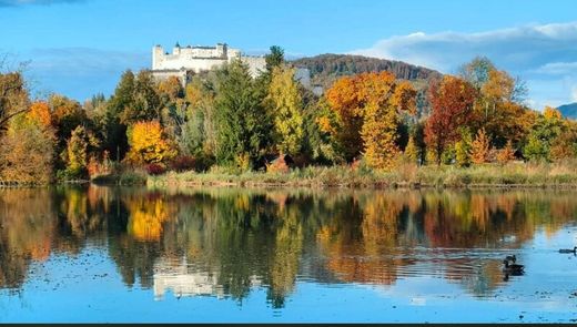 ザルツブルク, Salzburgのアパートメント