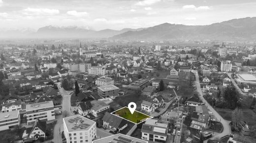 Land in Lustenau, Politischer Bezirk Dornbirn