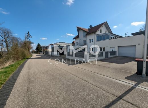 Maison de luxe à Steinhaus, Wels-Land