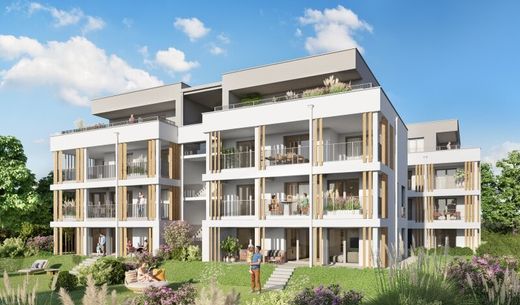 Daire Graz, Graz Stadt