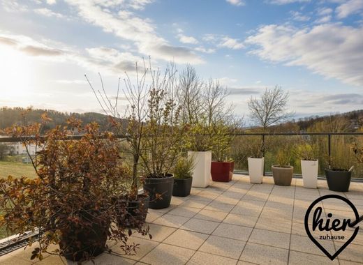 Daire Graz, Graz Stadt