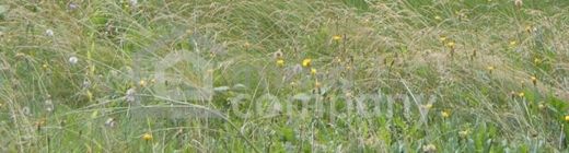 ‏קרקע ב  אוקלנד, Wien Stadt