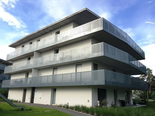 Apartament w Hard, Politischer Bezirk Bregenz