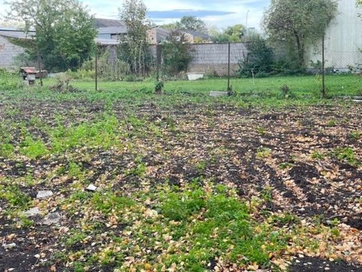 Land in Gols, Politischer Bezirk Neusiedl am See