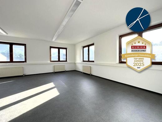 Oficina en Langenlois, Politischer Bezirk Krems