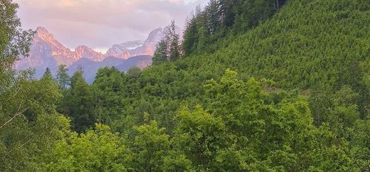 Ferme à Altenmarkt bei Sankt Gallen, Politischer Bezirk Liezen