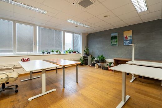 办公室  Wiesenberg, Politischer Bezirk Ried im Innkreis