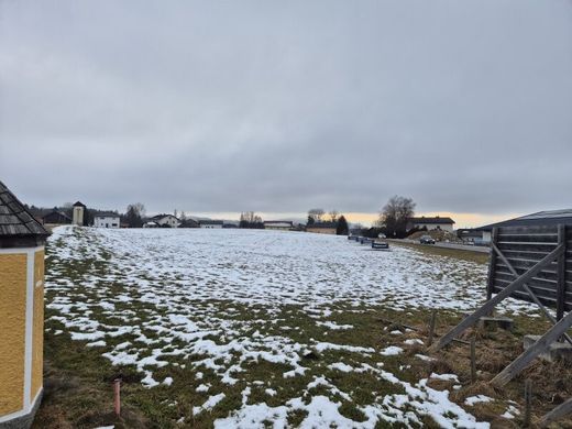 Terreno a Mundenham, Politischer Bezirk Braunau am Inn