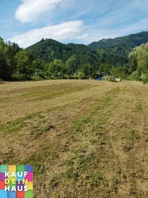 Pernegg an der Mur, Politischer Bezirk Bruck-Mürzzuschlagの土地