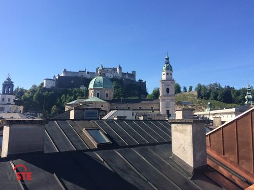 ﺷﻘﺔ ﻓﻲ Salzburg, Salzburg Stadt