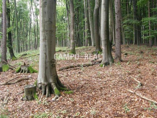 Bauernhof in Maria-Anzbach, Politischer Bezirk Sankt Pölten