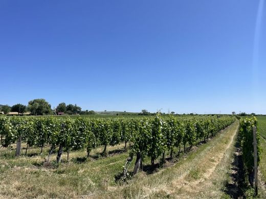 Casa de luxo - Grosshöflein, Eisenstadt-Umgebung