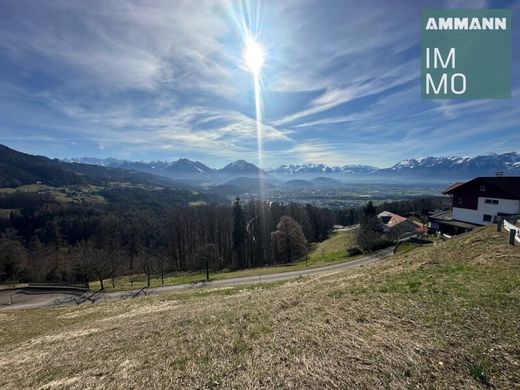 Land in Viktorsberg, Politischer Bezirk Feldkirch