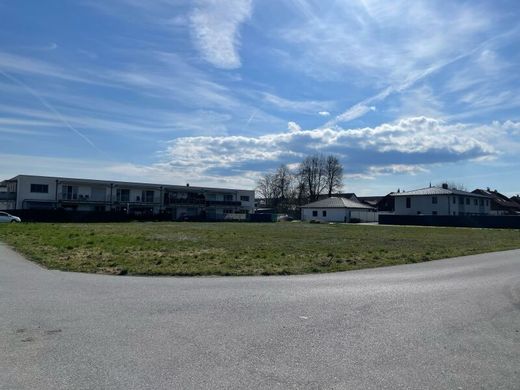 Arsa Mattighofen, Politischer Bezirk Braunau am Inn