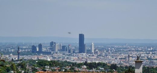 أرض ﻓﻲ فيينا, Wien Stadt