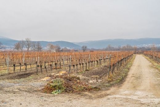 Land in Sooss, Politischer Bezirk Baden