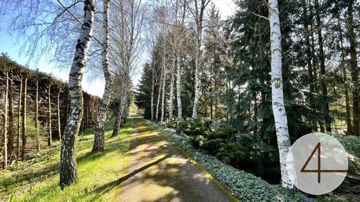 Luxury home in Waidhofen an der Thaya, Politischer Bezirk Waidhofen an der Thaya