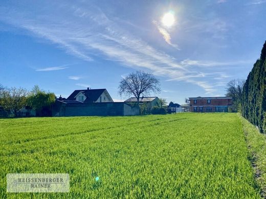 Grond in Pottendorf, Politischer Bezirk Baden