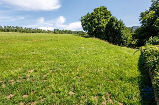 Land in Salzburg