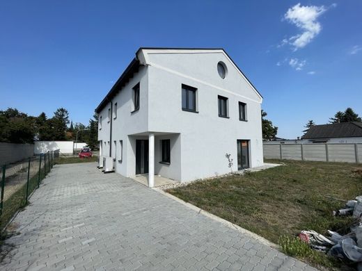 Maison de luxe à Lassee, Politischer Bezirk Gänserndorf