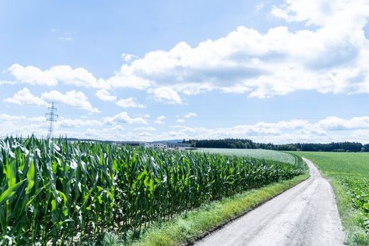 Terrain à Hofern, Politischer Bezirk Kirchdorf an der Krems