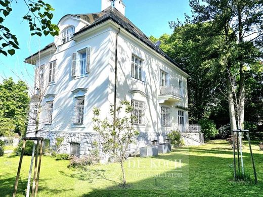 ﻓﻴﻼ ﻓﻲ فيينا, Wien Stadt