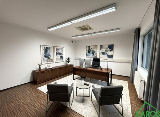 Oficina en Viena, Estado Federado de Viena