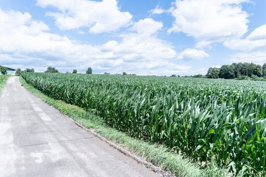 Terreno en Hofern, Politischer Bezirk Kirchdorf an der Krems