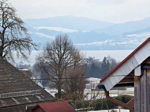 호화 저택 / Abtsdorf, Politischer Bezirk Vöcklabruck