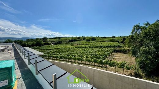 套间/公寓  Krems an der Donau, 下奧地利州