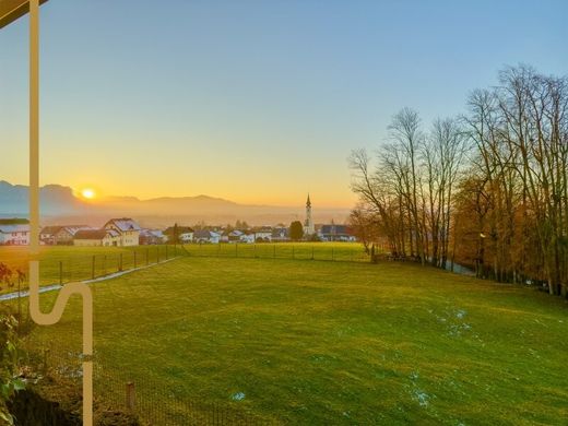 Apartment in Anthering, Politischer Bezirk Salzburg-Umgebung