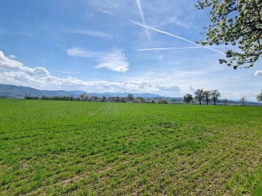 Luxury home in Steyr, Steyr Stadt