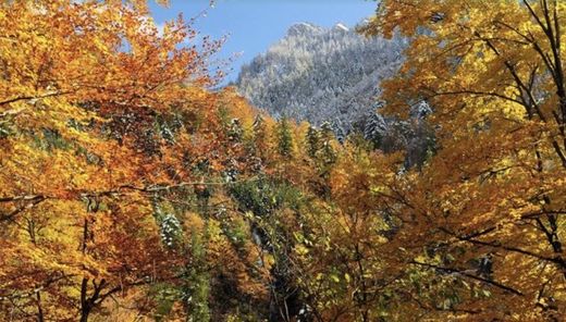 Bauernhof in Gmunden, Politischer Bezirk Gmunden