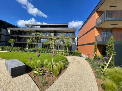 ﺷﻘﺔ ﻓﻲ Achau, Politischer Bezirk Mödling